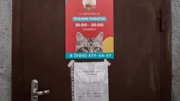 Ветеринарная клиника Айболит на улице Некрасова изображение 14