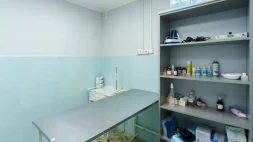 Ветеринарная клиника Айболит на улице Некрасова изображение 5