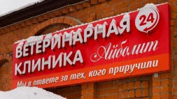 Ветеринарная клиника Айболит на улице Некрасова изображение 15