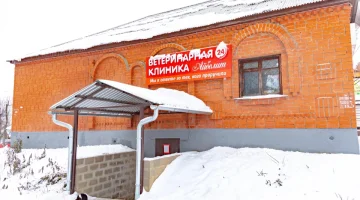 Ветеринарная клиника Айболит на улице Некрасова изображение 7